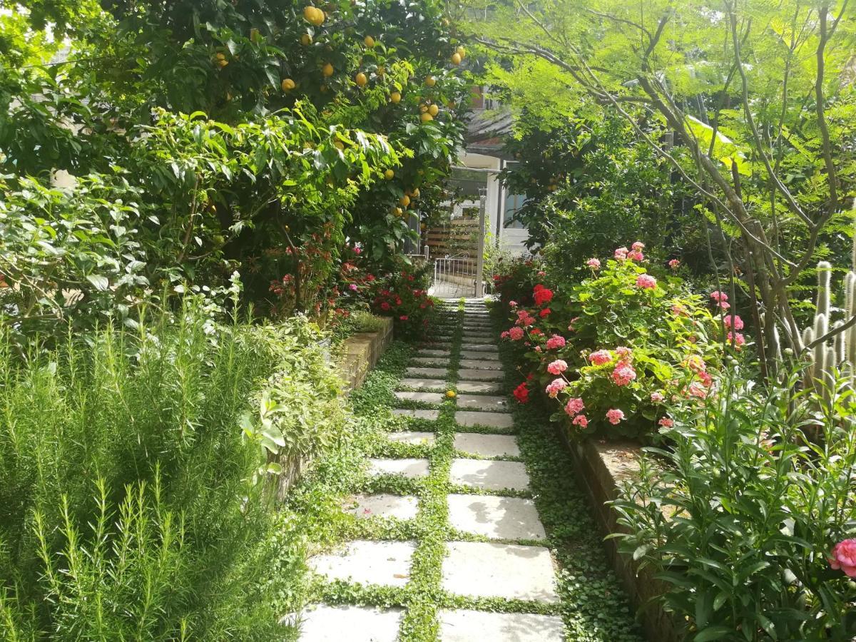 Bed and Breakfast Il Vialetto Dei Limoni Вико-Экуенсе Экстерьер фото